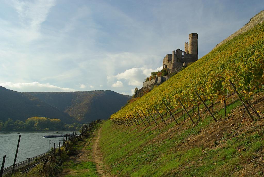 Residence Bellevue Boppard Exterior foto